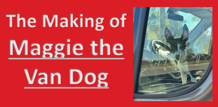 Maggie the Van Dog
